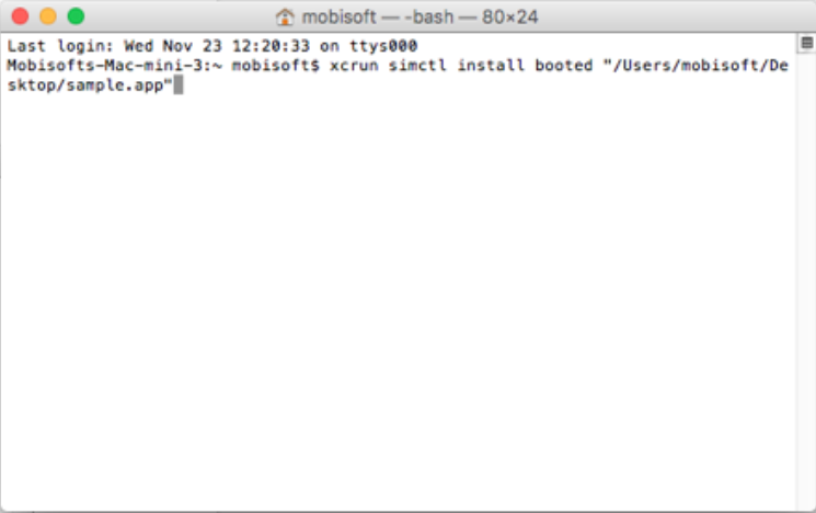 3.-Write-the-accompanying-summon-xcrun-simctl-introduce-booted-area-of-the-application-document-and-press-Enter