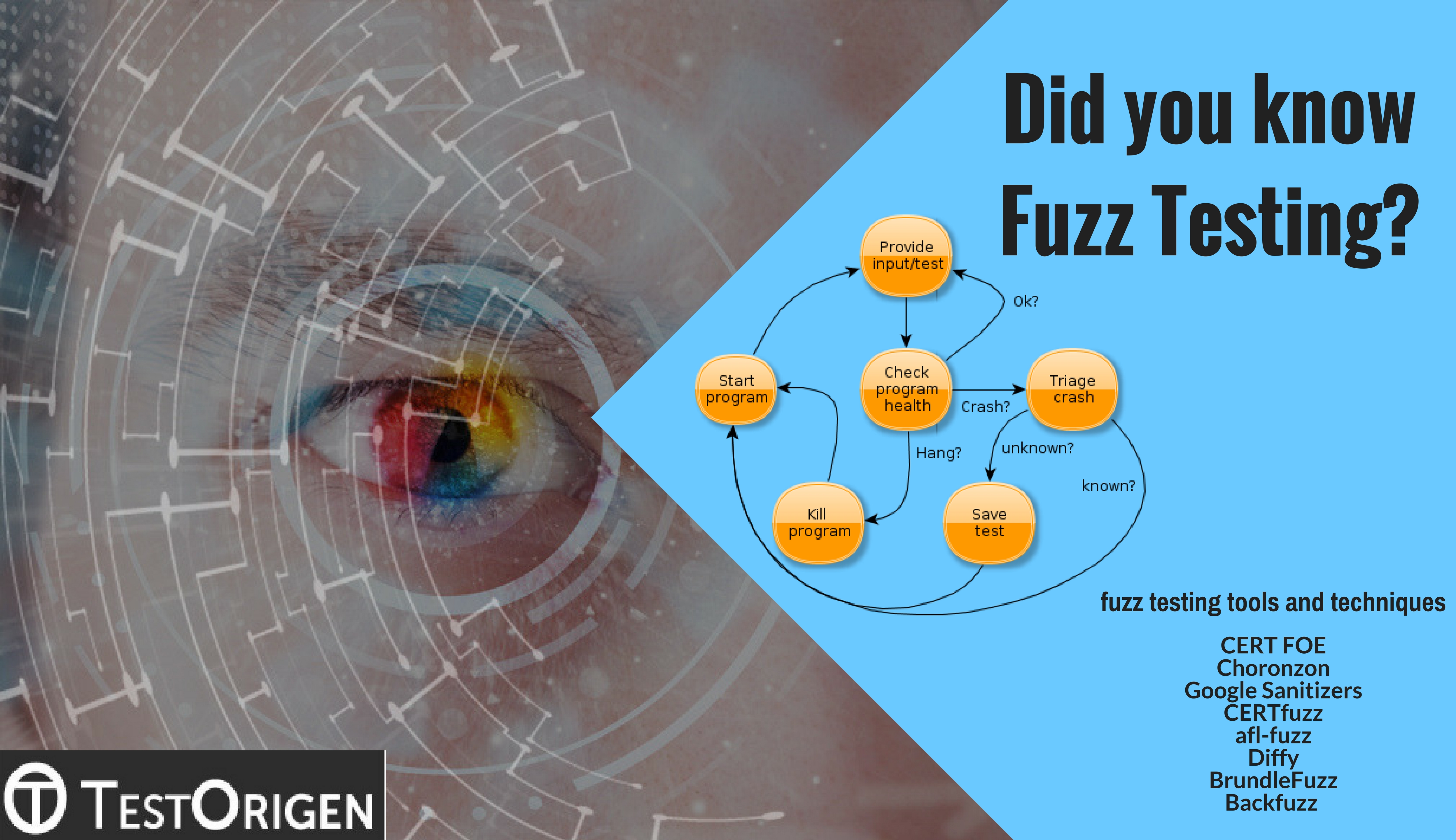 Did You Know Fuzz Testing Testorigen - roblox prison life hacks btools